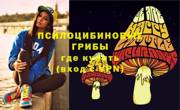 ПСИЛОЦИБИНОВЫЕ ГРИБЫ Краснотурьинск