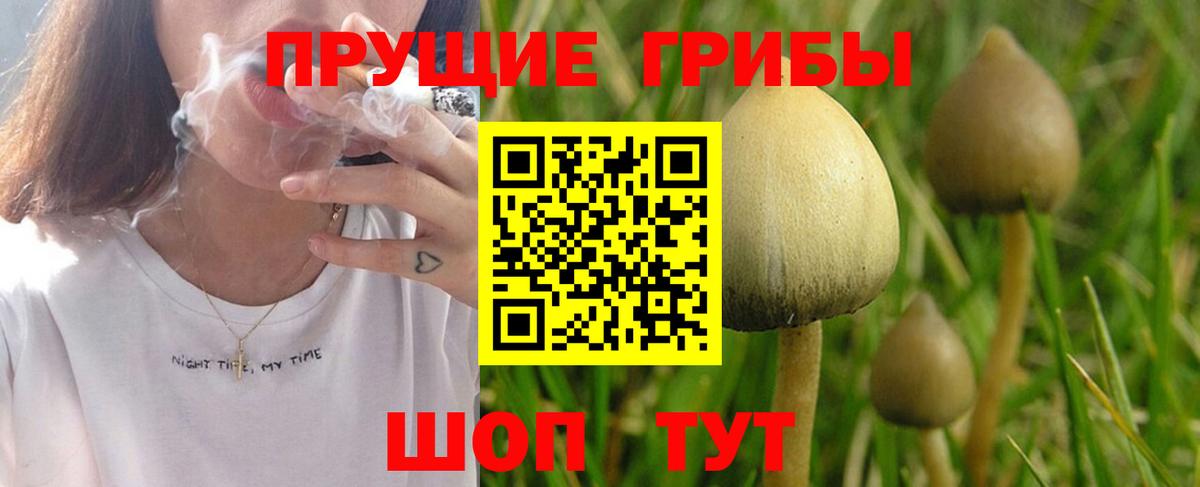 Псилоцибиновые грибы прущие грибы Углич